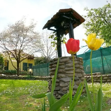 Semesterbostad Il Vecchio Kiwi - House With Private Garden