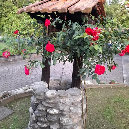 Il Vecchio Kiwi - House With Private Garden Semesterbostad *