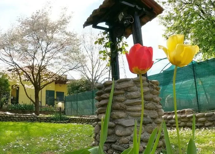 בית נופש Il Vecchio Kiwi - House With Private Garden