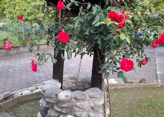 Il Vecchio Kiwi - House With Private Garden בית נופש *